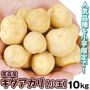 じゃがいも 10kg 青森産 キタアカリ【小玉】 送料無料 食品｜seikaokoku