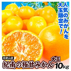 みかん 和歌山産 紀南の極甘みかん 大玉 10kg 送料無料 食品