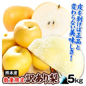 梨 訳あり 約5kg 熊本産 熊本梨（5〜24玉）（秋月・新高・新興・愛宕など）品種おまかせ 傷あり 和梨 あかなし 食品 フルーツ 果物 国華園