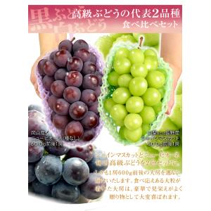 ぶどう 贈答用 シャインマスカット&種なしピオ...の詳細画像4