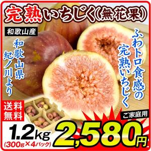 いちじく 和歌山産 1.2kg 無花果 (300g×4パック) ご家庭用 完熟 フルーツ 果物 国華園