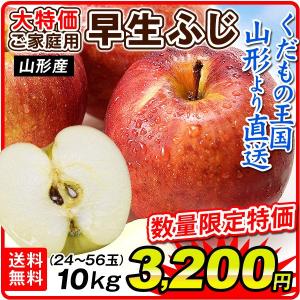 りんご 10kg 山形産 早生ふじ（24〜56玉）品種おまかせ 産地直送 送料無料 ご家庭用 林檎 フルーツ食品 国華園