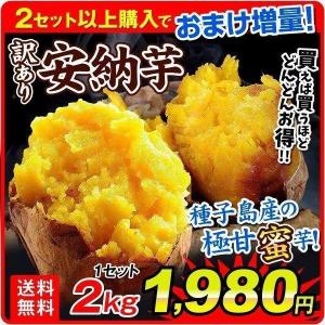 さつまいも 安納芋 2kg 種子島産 訳あり 生芋 送料無料（2セット目から増量あり）増量特典 あんのう 熟成 野菜 いも 食品