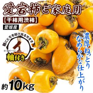 柿 10kg 愛宕柿 渋柿 大特価 愛媛産 宇和...の商品画像