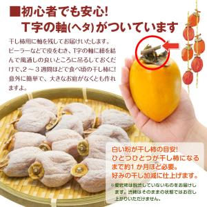 柿 10kg 愛宕柿 渋柿 大特価 愛媛産 宇...の詳細画像3