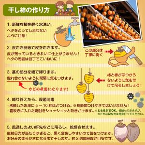 柿 10kg 愛宕柿 渋柿 大特価 愛媛産 宇...の詳細画像4