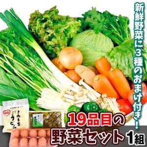 野菜セット 19品目入り 16品目の国産野菜＆おまけ3品目のスペシャルセット