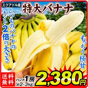 バナナ 1房 エクアドル産 特大バナナ ご家庭用 ハンドバナナ 約2〜3kg前後  送料無料 食品｜seikaokoku