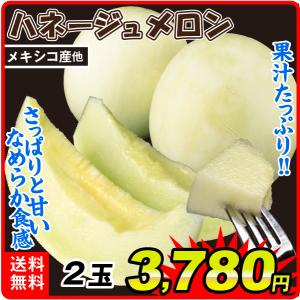 メロン 2玉 ハネージュメロン メキシコ産他 送料無料 食品｜seikaokoku