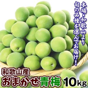 梅 10kg おまかせ青梅 ご家庭用 和歌山産 送料無料 食品｜食みらい・国華園