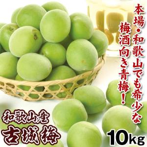 梅 10kg 古城梅 【青梅】 和歌山産 ごじろうめ 送料無料 冷蔵便 食品