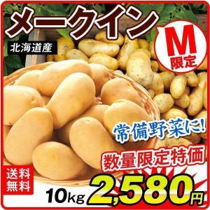 じゃがいも 10kg 北海道産 メークイン（Mサイズ）1箱 送料無料 芋 野菜 食品 国華園