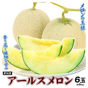 メロン 愛知産 アールスメロン 6玉（約8kg）1箱 ご家庭用 フルーツ 果物 食品 国華園