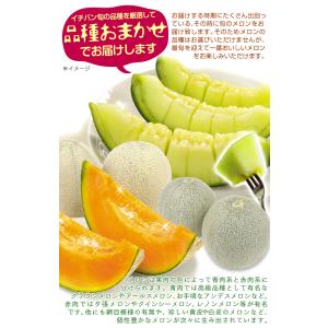 メロン 山形産 庄内お楽しみメロン 5kg 品...の詳細画像4