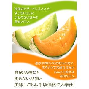 メロン 山形産 庄内お楽しみメロン 5kg 品...の詳細画像5