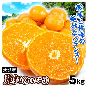 みかん 5kg 大分産 麗紅 れいこう 柑橘 蜜柑 果物 フルーツ 送料無料 食品