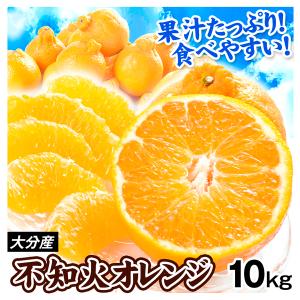 不知火 みかん 10kg 大分産 不知火オレンジ 送料無料 デコポン と同品種 デコ しらぬい ご家庭用 デコみかん 食品 国華園