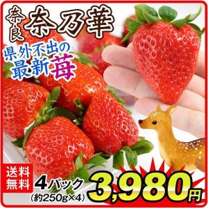 いちご 奈乃華（なのか） 約1kg（約250g×4パック） 奈良産 ご家庭用 冷蔵便 イチゴ フルーツ 国華園