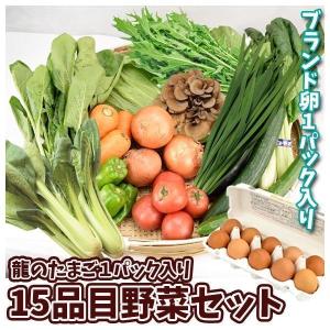 龍のたまご１０個入り１５品目野菜セット 15種１箱 【冷蔵便】送料無料 食品
