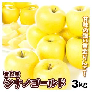 りんご 約3kg 青森産 シナノゴールド  林檎 フルーツ 国華園｜seikaokoku