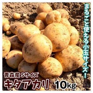 じゃがいも 10kg 青森産 まるごとキタアカリ（Sサイズ）1箱 キタアカリ 送料無料 じゃが芋 芋 産地直送 野菜 食品 国華園｜seikaokoku