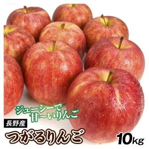 りんご　長野産　サンつがる　１０kg　１箱 林檎 果物 フルーツ 送料無料 国華園｜seikaokoku