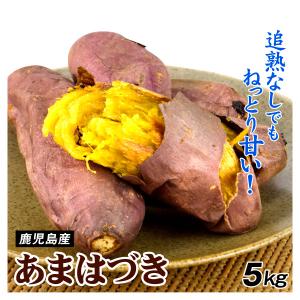 さつまいも 5kg あまはづき 鹿児島産 ご家庭用 新品種 蜜芋 芋 いも 送料無料 食品｜seikaokoku