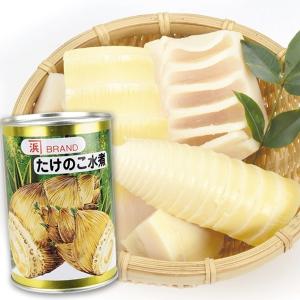 食品 たけのこ水煮缶詰 1缶 国華園｜seikaokoku