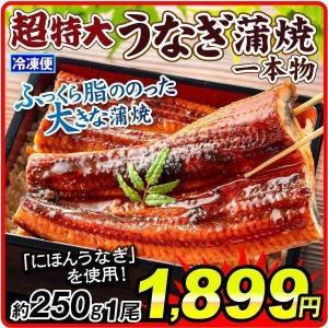 うなぎ 鰻 超特大うなぎ蒲焼 一本物 1尾 ニホンウナギ