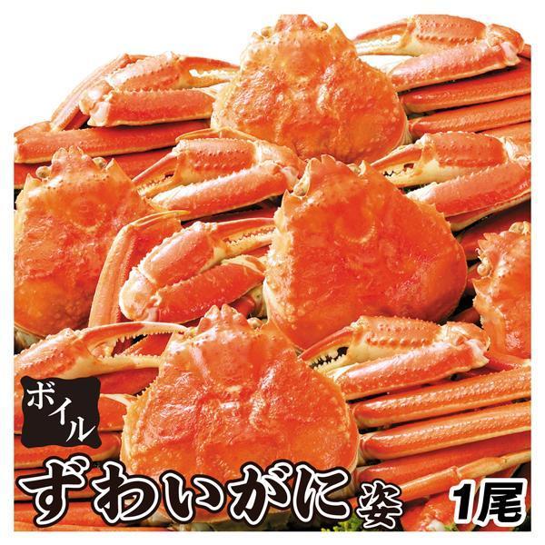 かに お買得 ボイルずわいがに・姿 1尾 約350g 冷凍便 食品