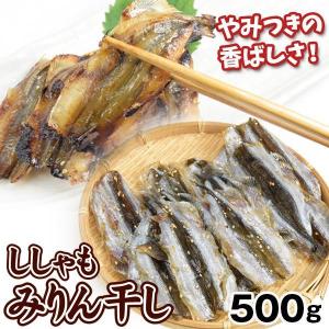 ししゃも みりん干し 500g 1箱 焼きししゃも 味醂ししゃも 味醂干し おつまみ 珍味 送料無料 冷凍便｜seikaokoku