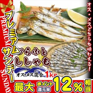 ししゃも 1kg カラフトししゃもオスメスMIX オス メス ミックス 約50尾 干物 送料無料 食品 冷凍便｜seikaokoku