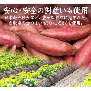 国華園 干し芋 1kg (500g×2袋) 鳥...の詳細画像3