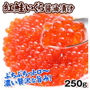 紅鮭いくら 醤油漬 250g いくら イクラ 魚卵 海鮮 海産物 紅鮭 鮭 食品｜seikaokoku