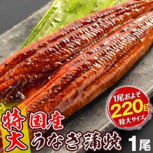 うなぎ 国産 蒲焼 一本物 特大 約220g 1尾1組【有頭・無頭をお選びください】ご家庭用 冷凍 国華園｜食みらい・国華園