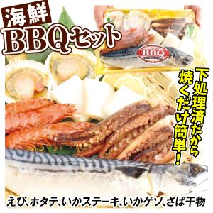 海鮮 バーベキュー セット 5種セット 海老 いか ほたて さば干物 食品 冷凍便｜seikaokoku