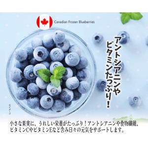 冷凍ブルーベリー 約2kg カナダ産 砂糖不使...の詳細画像3
