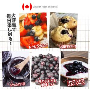 冷凍ブルーベリー 約2kg カナダ産 砂糖不使...の詳細画像5