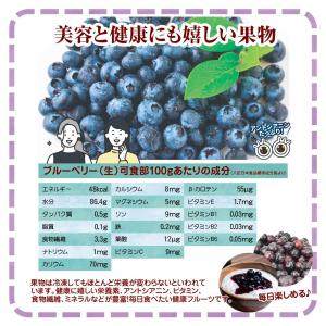 冷凍ブルーベリー 約2kg カナダ産 砂糖不使...の詳細画像4