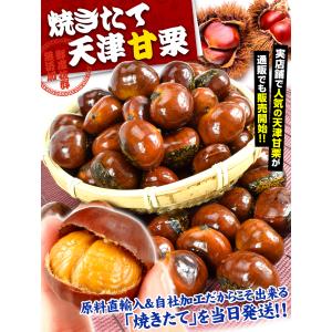 国華園 甘栗 天津甘栗 1kg くり マロン ...の詳細画像2