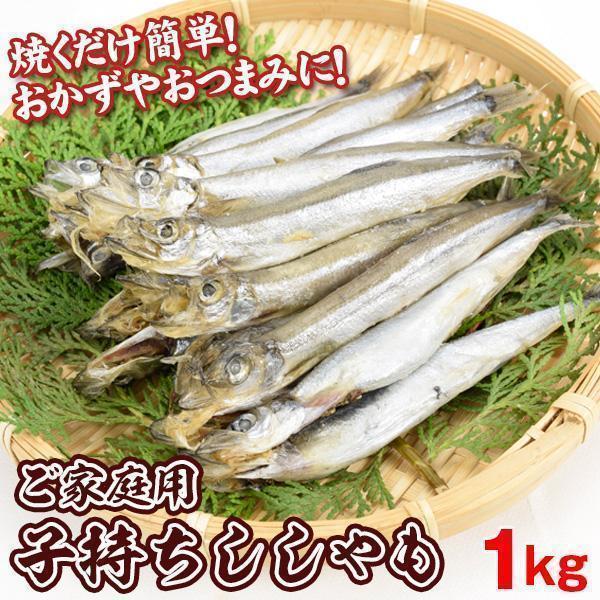 子持ちししゃも 1kg ご家庭用 ノルウェー・アイスランド産 干物 送料無料 冷凍便