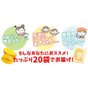 マンゴー 冷凍 完熟 カット済み 10kg(5...の詳細画像3