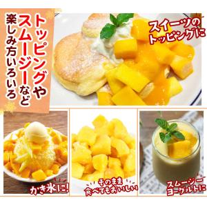 マンゴー 冷凍 完熟 カット済み 10kg(5...の詳細画像5