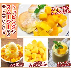 マンゴー 冷凍 完熟 カット済み 3kg(50...の詳細画像4