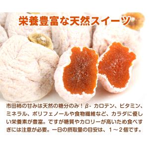 国華園 市田柿 500g 長野産 ブランド 干...の詳細画像5