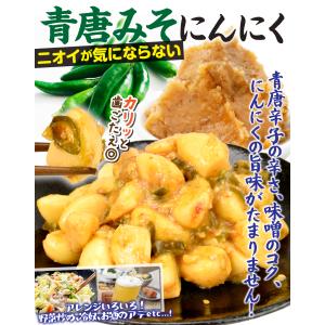 青唐みそにんにく 200g 1袋 青唐辛子 ピ...の詳細画像1