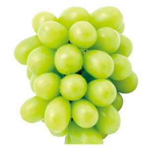 ぶどう 約700g (350g×2パック) ご家...の商品画像