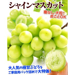 ぶどう 約700g (350g×2パック) ご...の詳細画像1