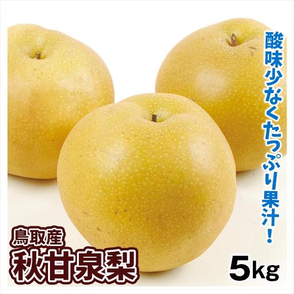 梨 5kg 秋甘泉梨 (あきかんせん) 鳥取産 送料無料 食品