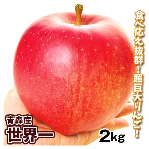 りんご 2kg 青森産 世界一 大玉 せかいいち 希少品種 ギフト お中元 化粧箱入 送料無料 林檎 フルーツ食品 国華園